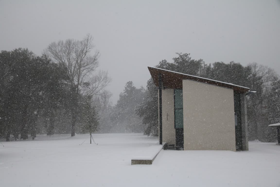 Photos of rare snow at Mepkin