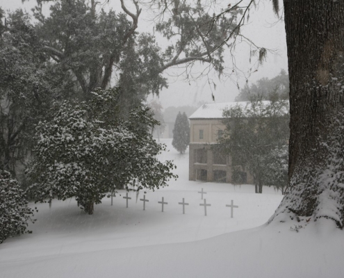 Photos of rare snow at Mepkin Photos of rare snow at Mepkin