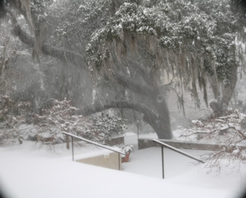 Photos of rare snow at Mepkin Photos of rare snow at Mepkin