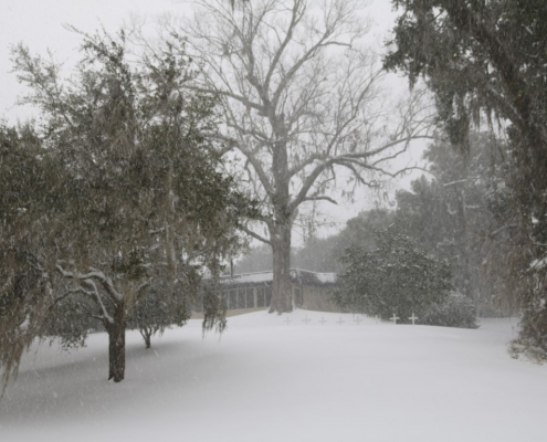 Photos of rare snow at Mepkin Photos of rare snow at Mepkin
